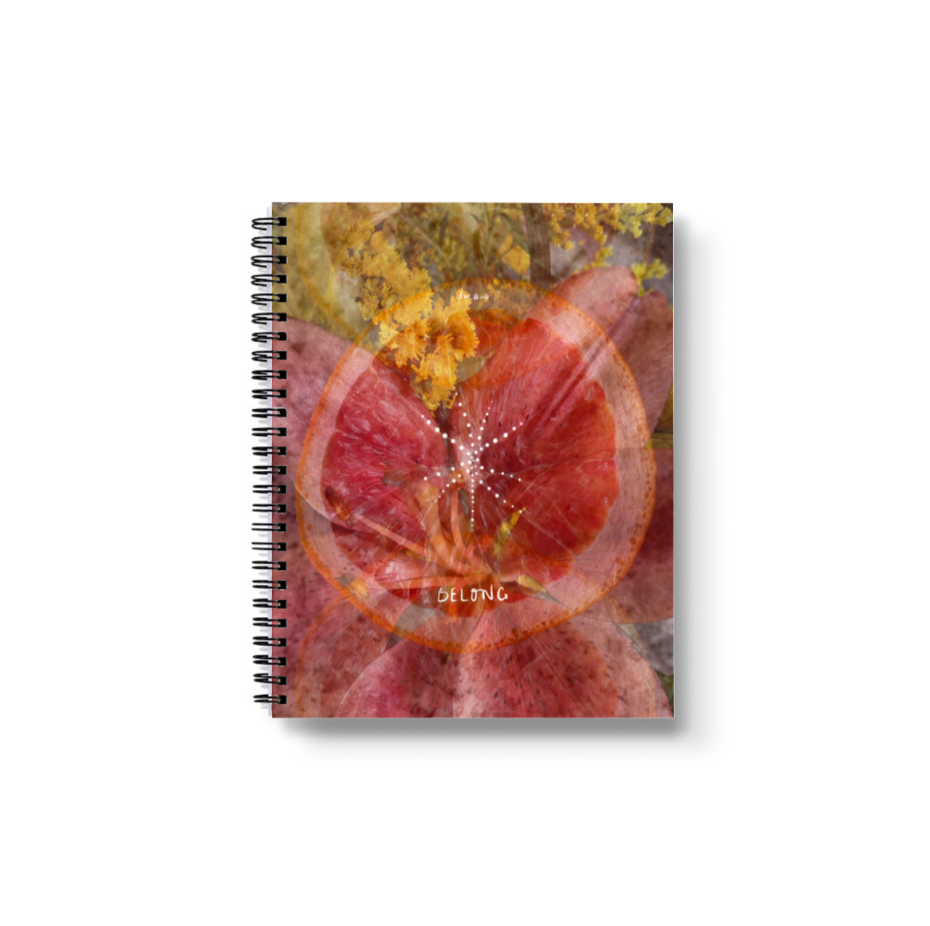 "you belong here" - series: you are exploding, paper notebook