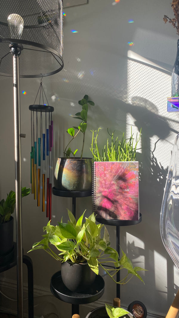 "in awe of our worlds" - series: you are magic, paper notebook