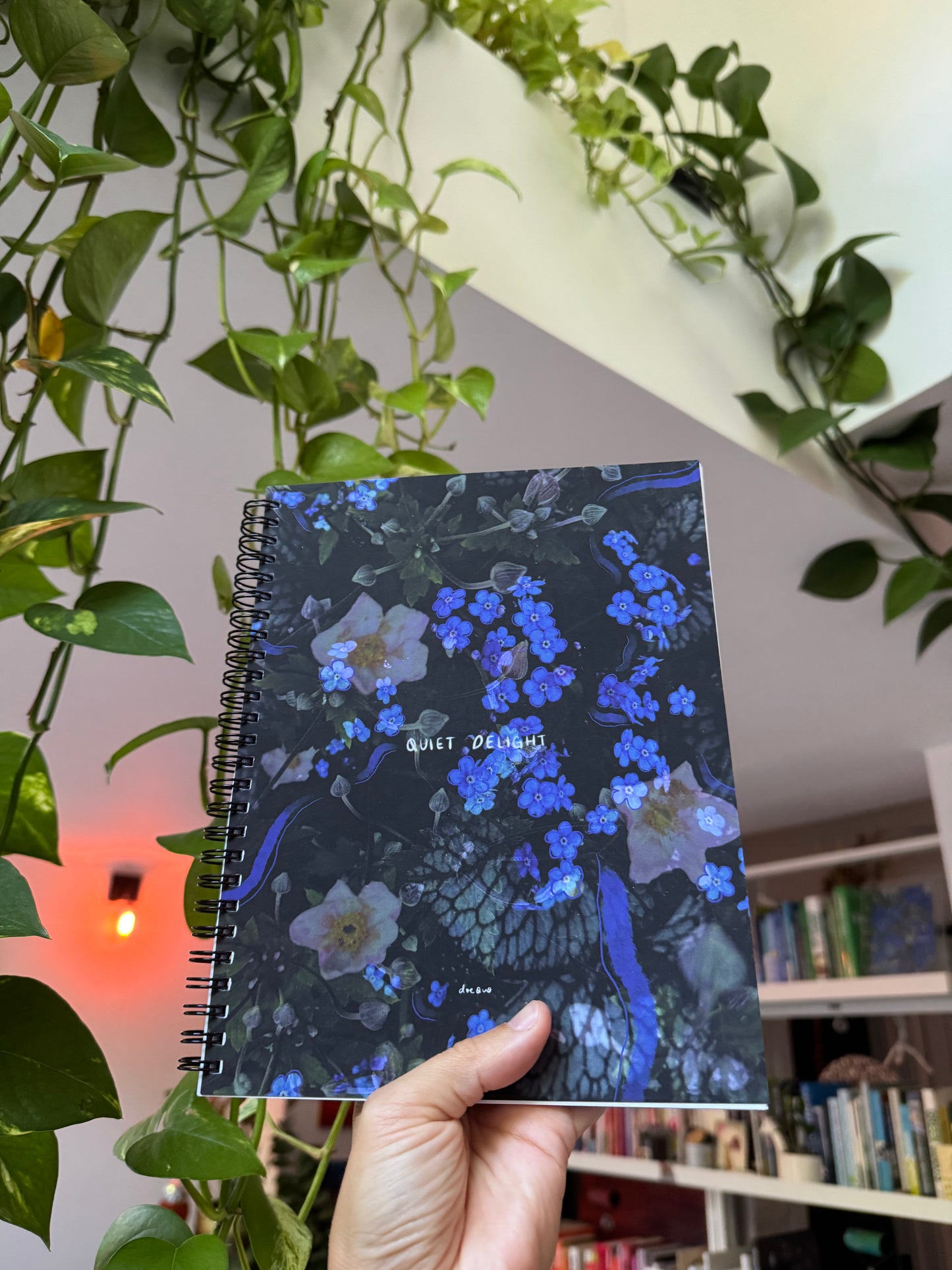 "quiet delight" - series: you are home, paper notebook
