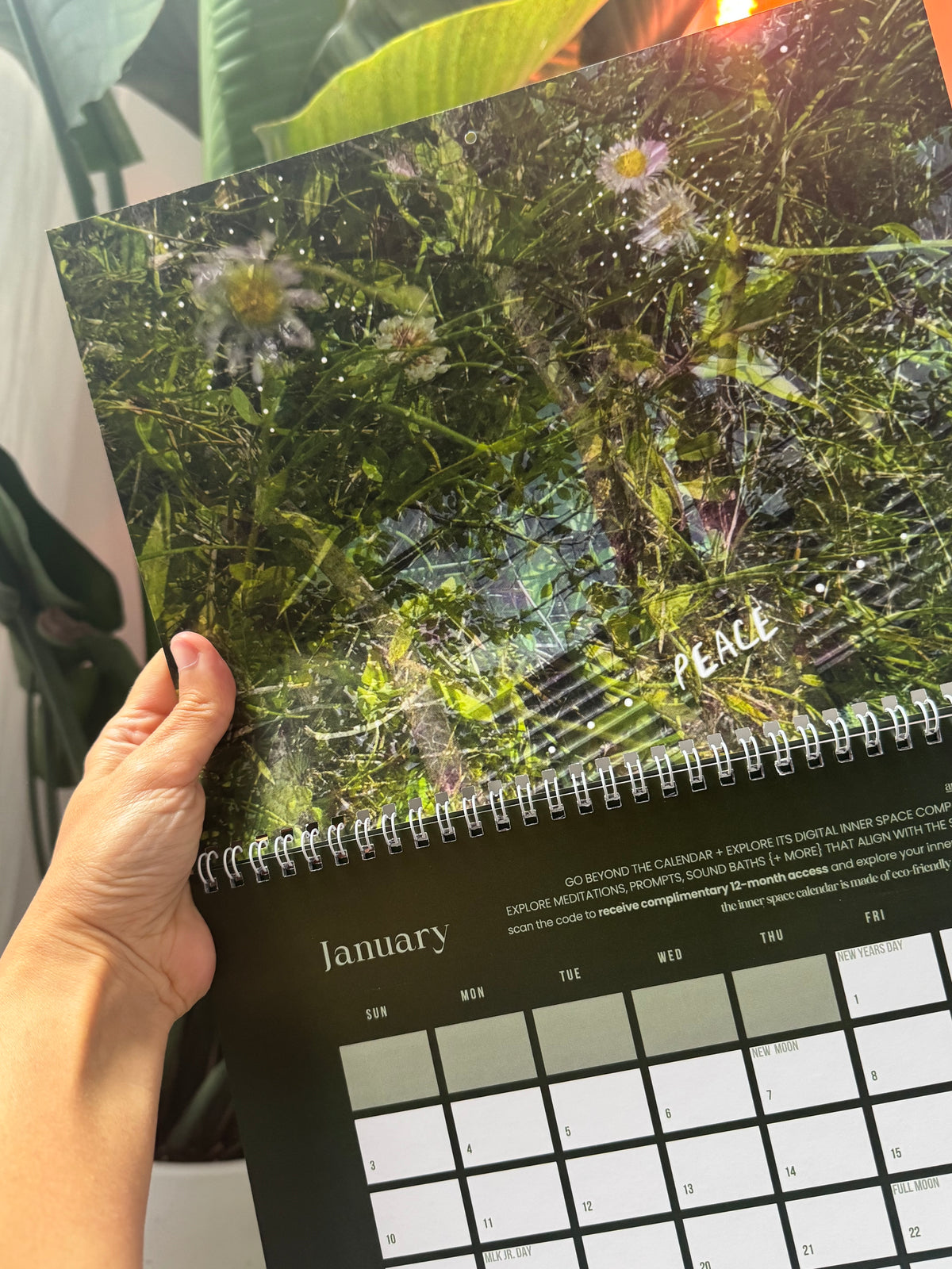 PRE-ORDER { ARRIVES NOVEMBER 2026 } ✨ 2027 INNER SPACE WALL CALENDAR