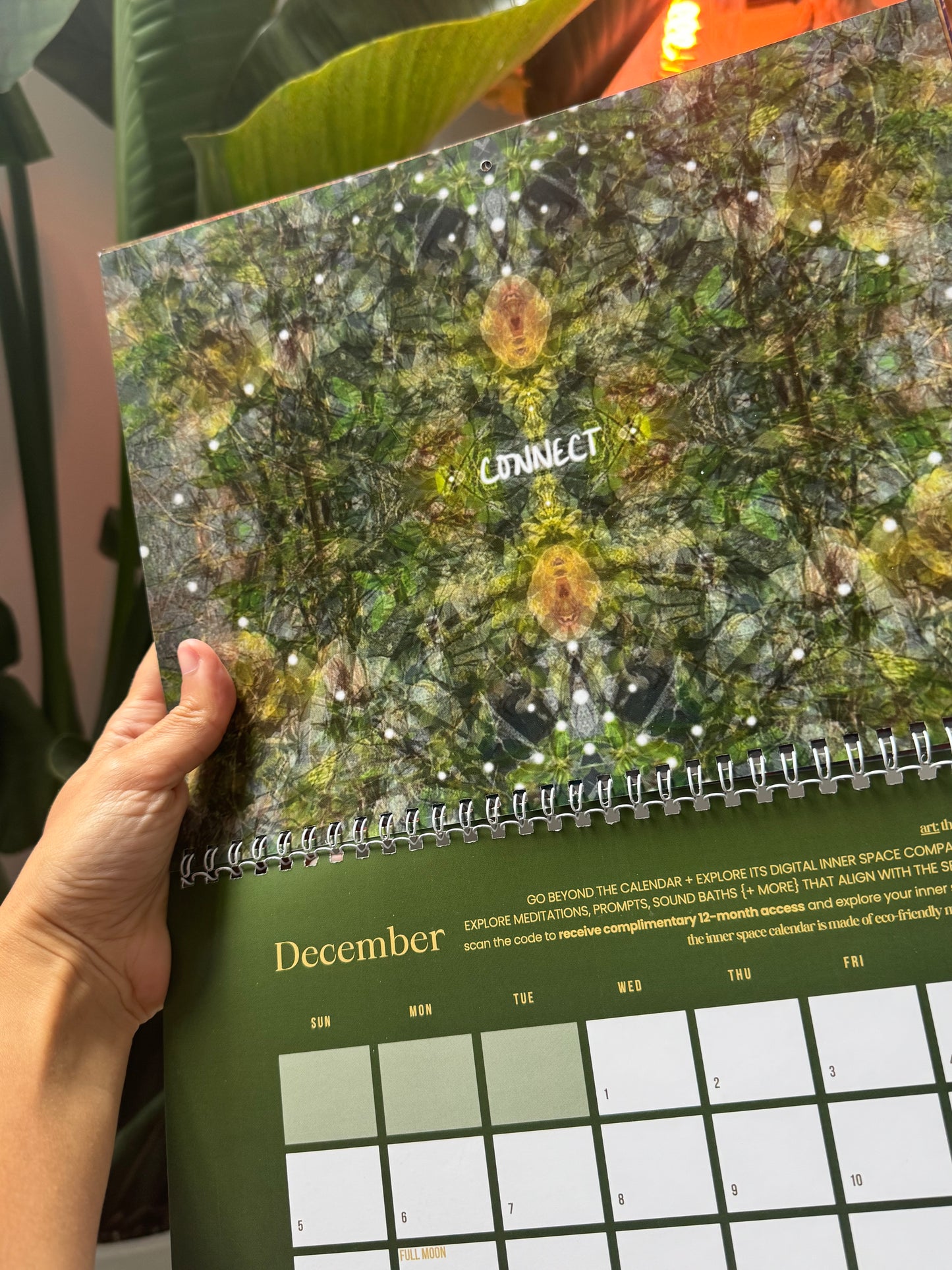 PRE-ORDER { ARRIVES NOVEMBER 2026 } ✨ 2027 INNER SPACE WALL CALENDAR