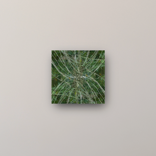 "here + now" - series: you are magic, metal print