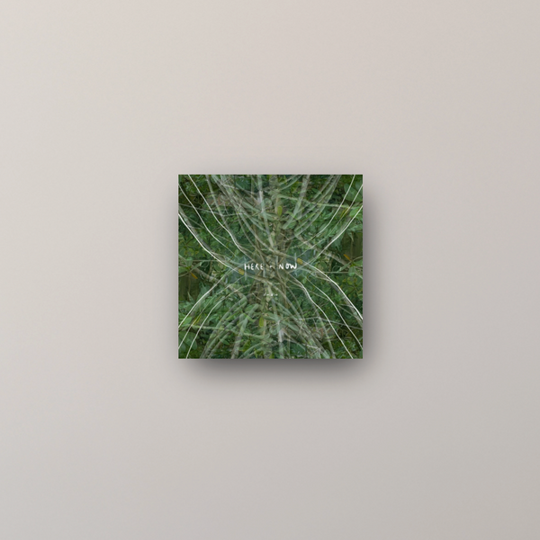 "here + now" - series: you are magic, metal print