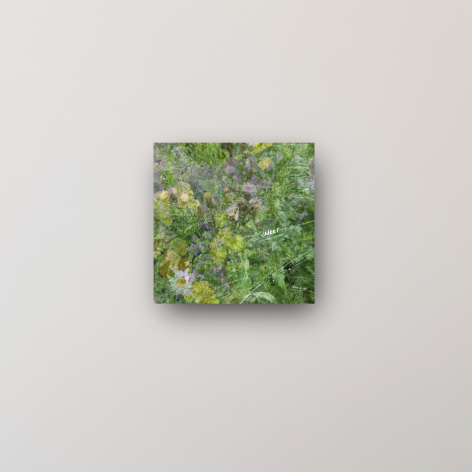 "your sweetness makes you strong" - series: you are exploding, metal print