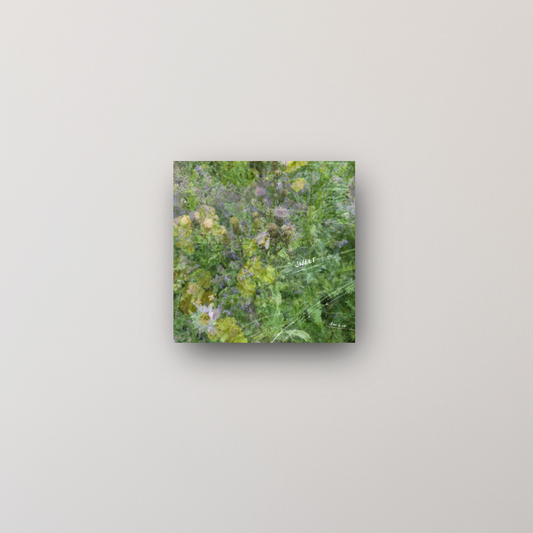 "your sweetness makes you strong" - series: you are exploding, metal print