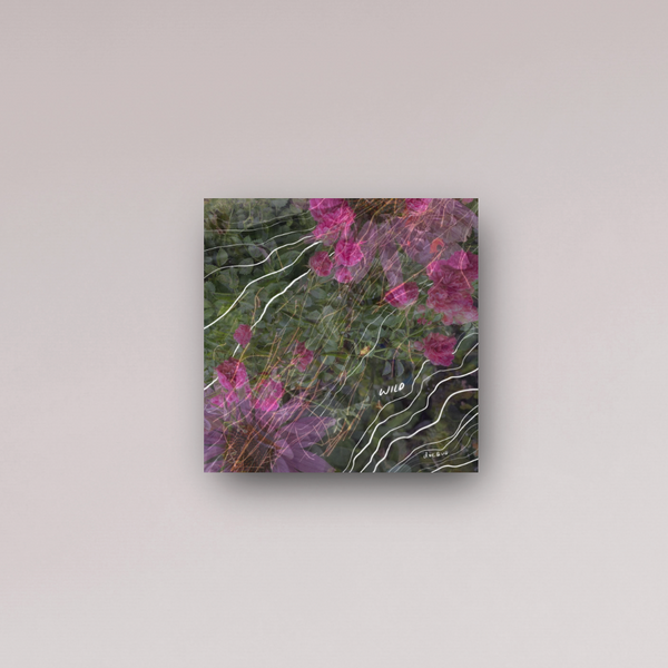 "stay wild be free" - series: you are exploding, metal print