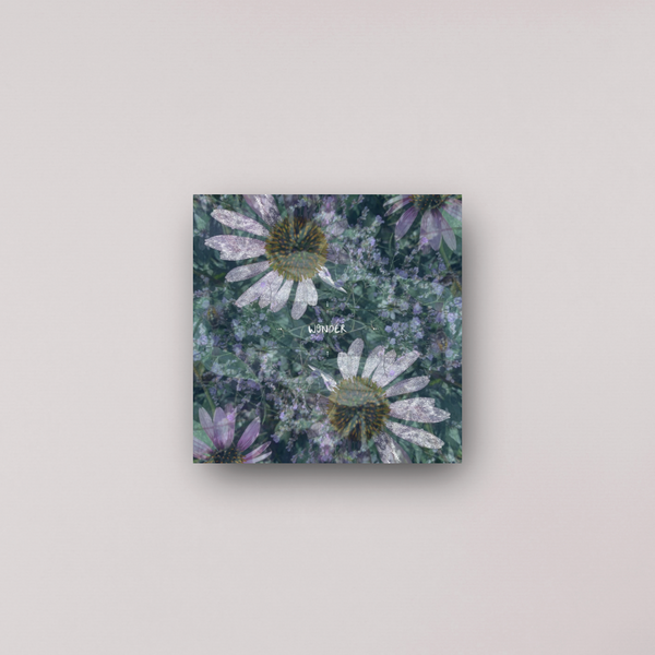 "wonder at the wonderful constellations" - series: you are presence, metal print