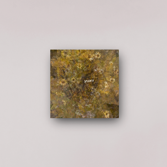 "sparkle bb sparkle" - series: you are abundance, metal print