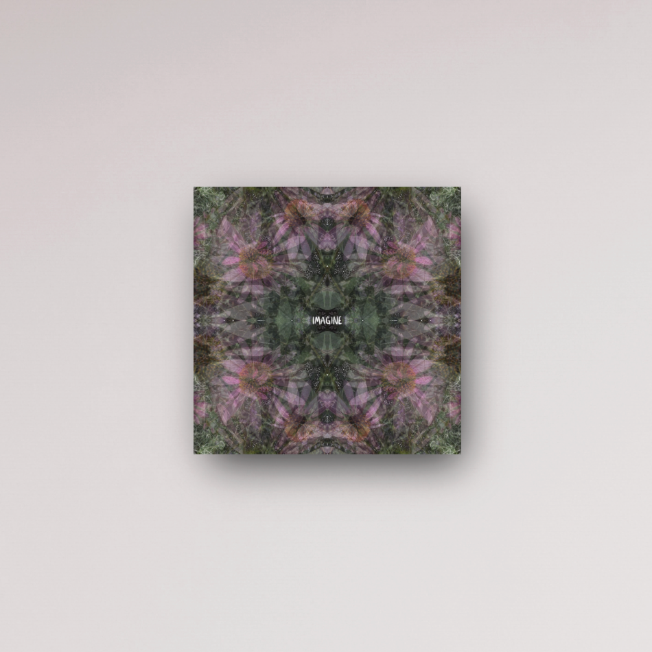 "imagine the possibilities" - series: you are home, metal print