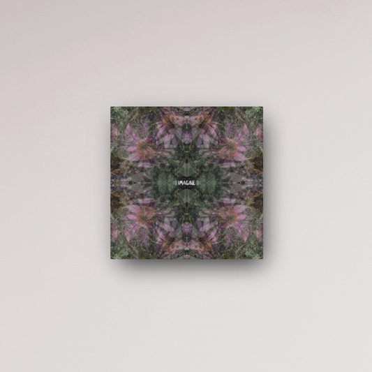 "imagine the possibilities" - series: you are home, metal print