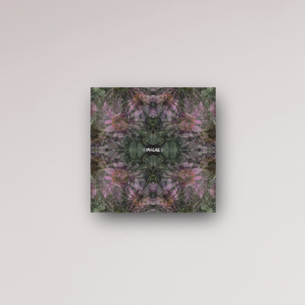 "imagine the possibilities" - series: you are home, metal print