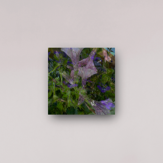 "joyfully exploding" - series: you are exploding, metal print