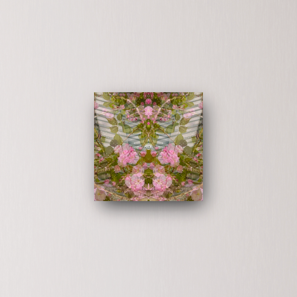 "you are the magic that sustains" - series: you are home, metal print