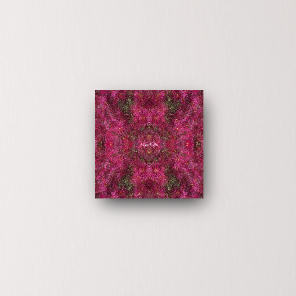 "adventure is within" - series: you are presence, metal print