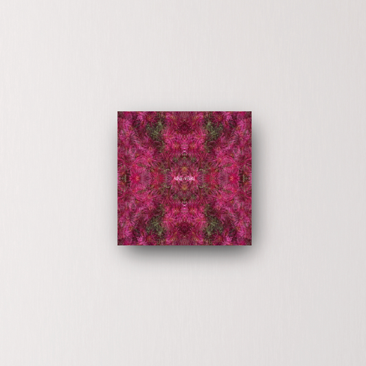 "adventure is within" - series: you are presence, metal print