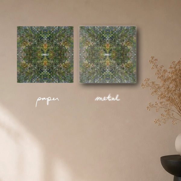 "connect back to you" - series: you are home, paper or metal print