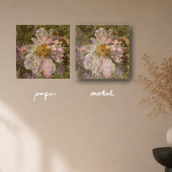 "rooted in curiosity" - series: you are home, paper or metal print