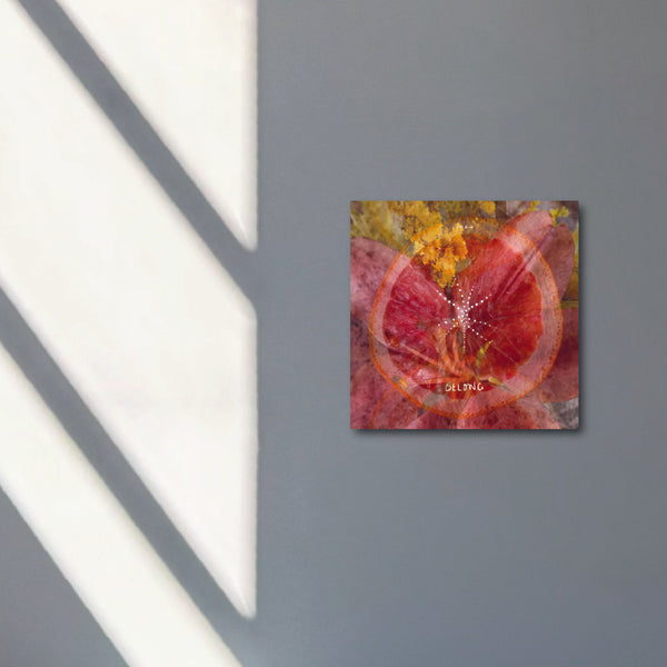 "you belong here" - series: you are exploding, metal print