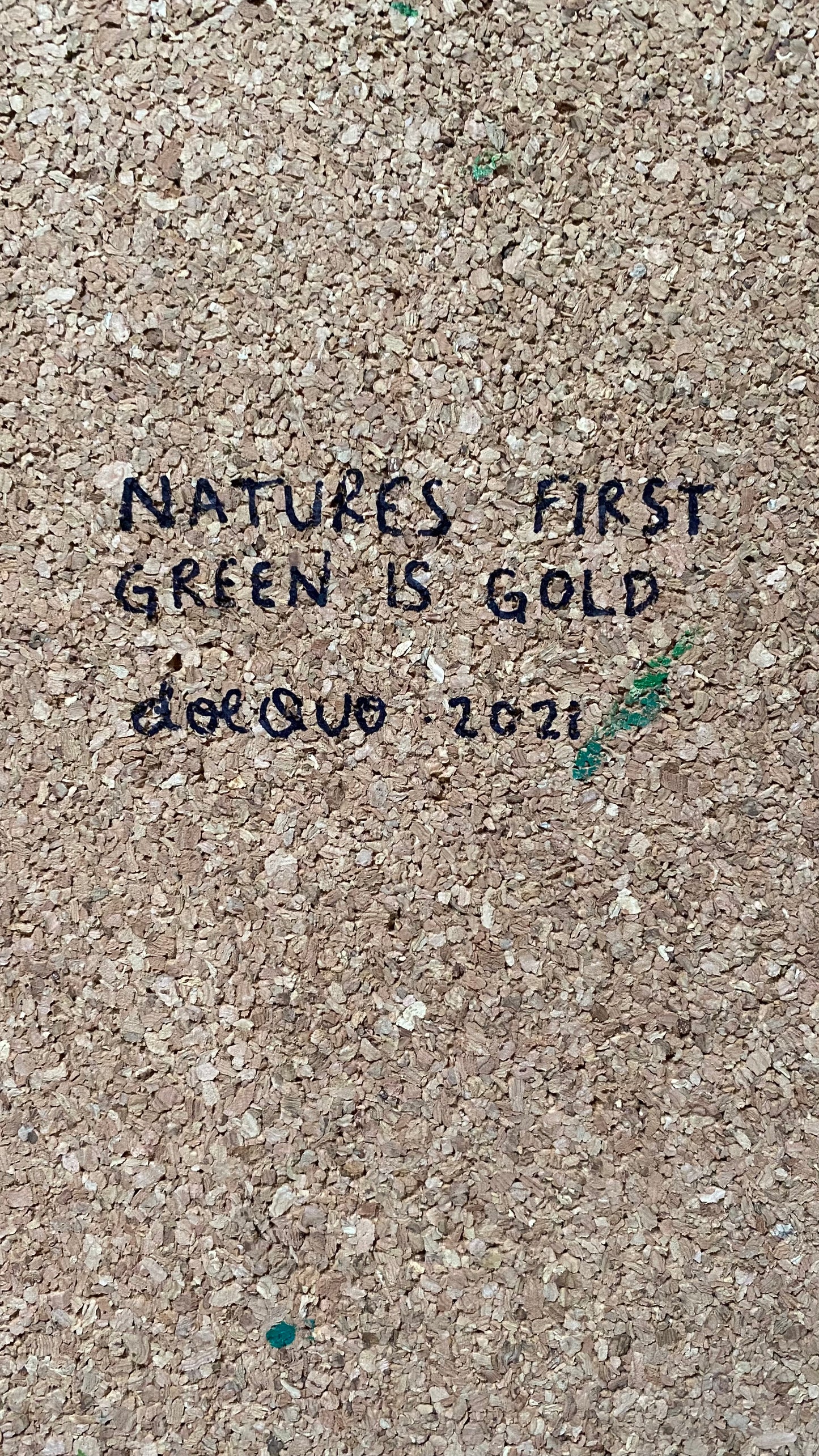 🏔 you are an EXPLORER [CORK DECO] 🚀 natures first green is gold