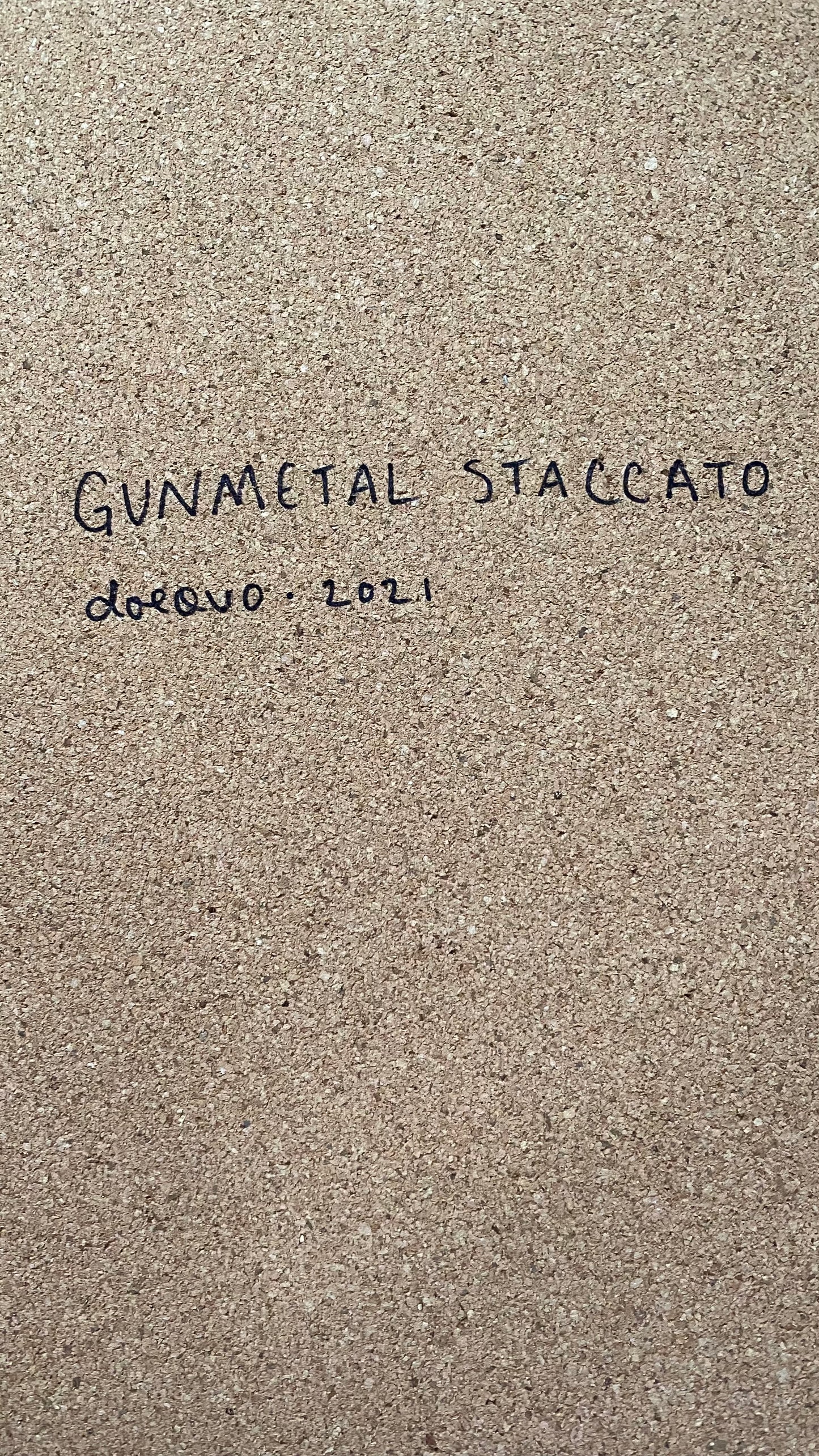 🏔 you are an EXPLORER [CORK DECO] 🚀 gunmetal staccato